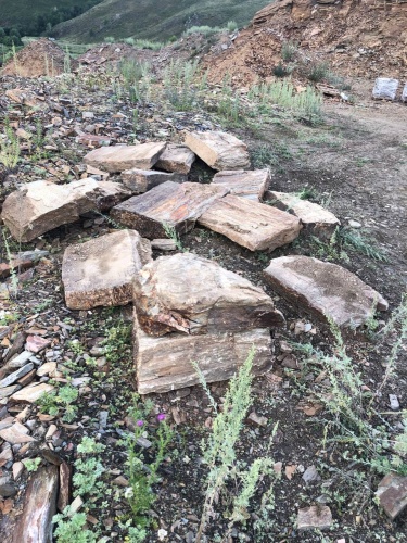 Плитняк кора дерева 50-100мм для пошаговых дорожек купить в Яхрома